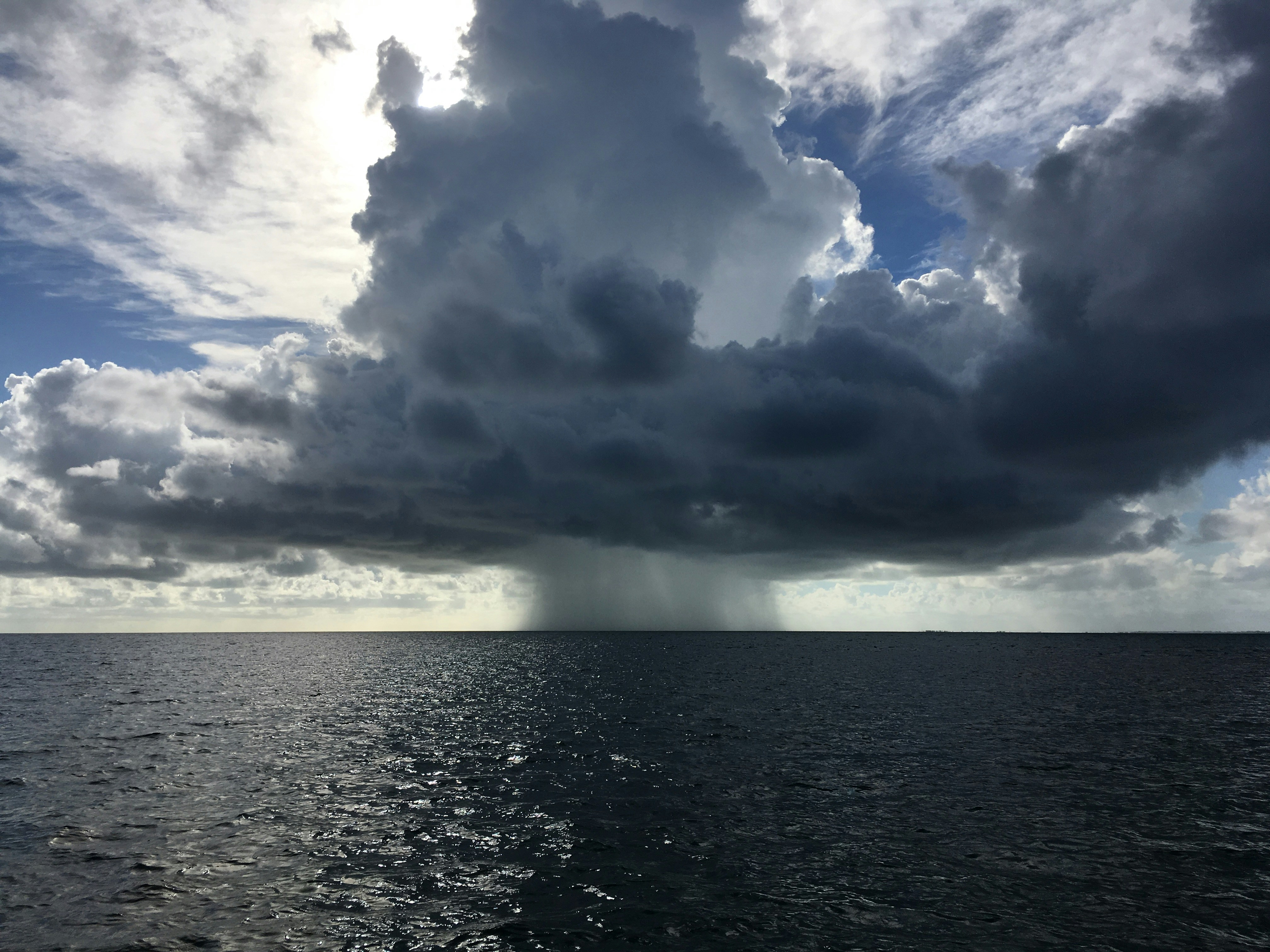 Animation of monsoon winds and precipitation patterns over South Asia
